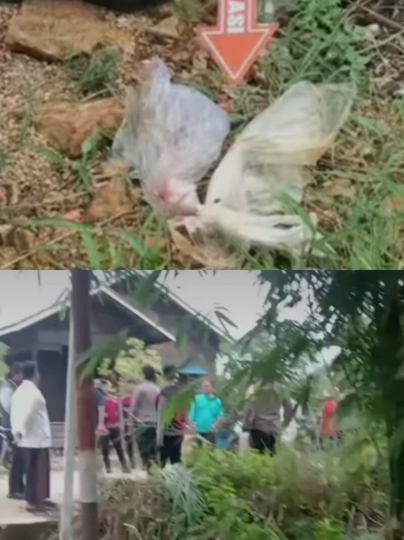Penemuan mayat bayi pertama di Kanal 2, Jalan Pendidikan, Sangatta (atas). 

Penemuan mayat bayi kedua di Jalan Komando 2, Desa Sangatta Utara (bawah).