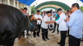 Foto: Kepala OIKN, Basuki Hadimuljono saat menyerahkan Sapi dari Presiden RI, Prabowo Subianto. (HumasOIKN)