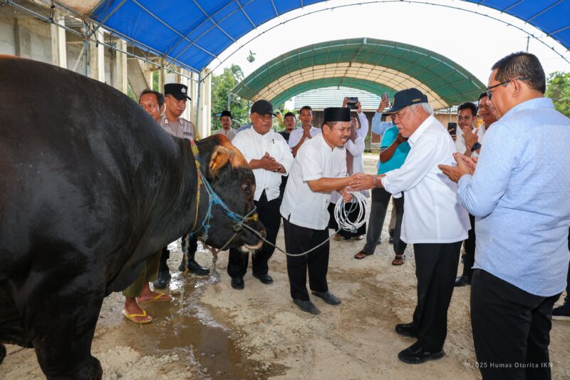 Foto: Kepala OIKN, Basuki Hadimuljono saat menyerahkan Sapi dari Presiden RI, Prabowo Subianto. (HumasOIKN)